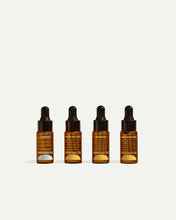 Load image into Gallery viewer, Mini Set Everyday Oil