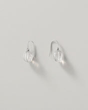 Load image into Gallery viewer, Crystal Rounded Ridge Earrings
