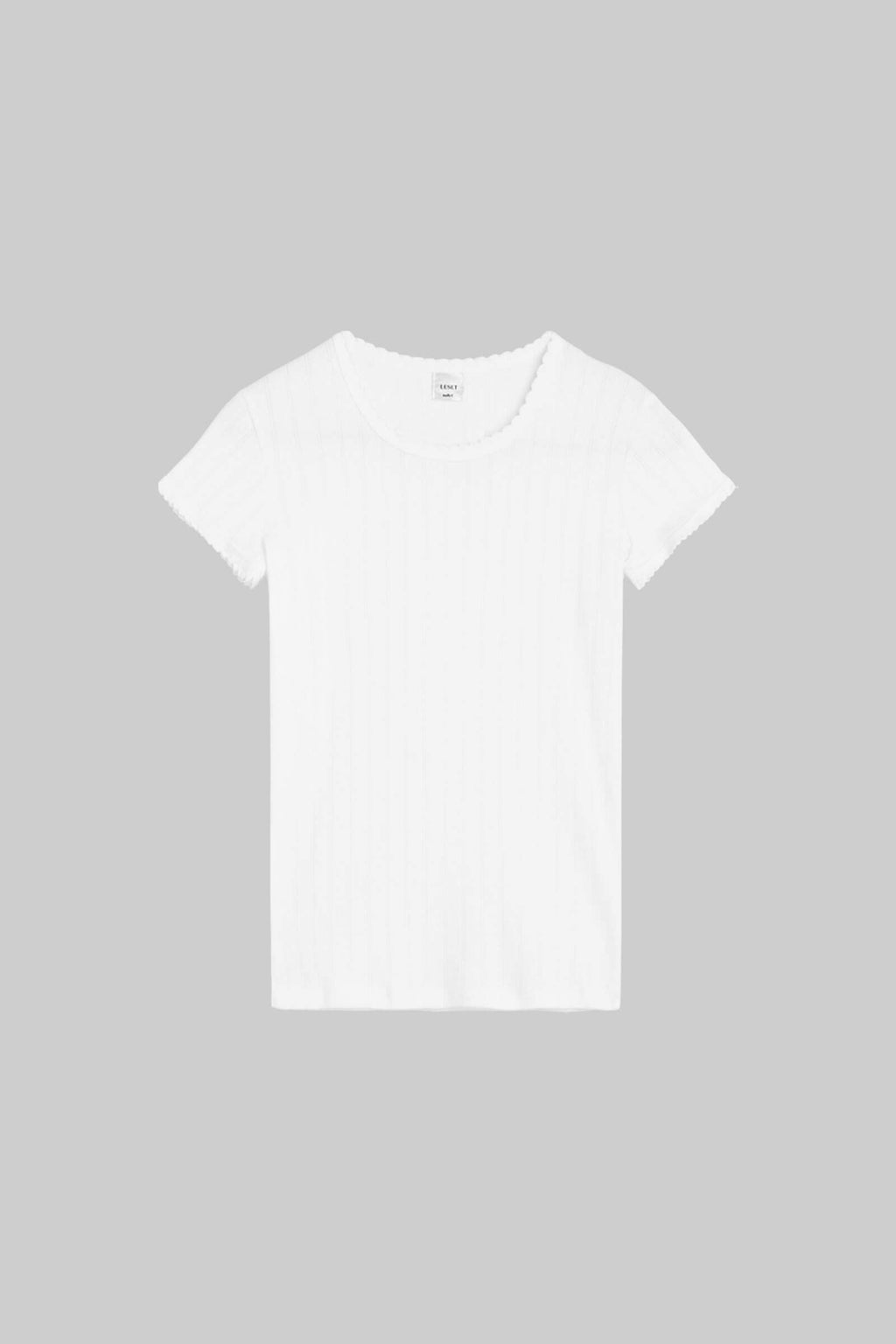 Pointelle Slim Tee White