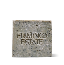 Load image into Gallery viewer, Exfoliating Peppermint Soap Brick
