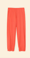 Crispin Sweatpant - All Star Red