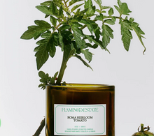Load image into Gallery viewer, Roma Heirloom Tomato Candle

