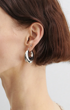Load image into Gallery viewer, Grass Earrings - Silver
