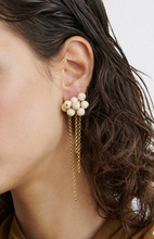 Load image into Gallery viewer, Bauble Mesh Earrings
