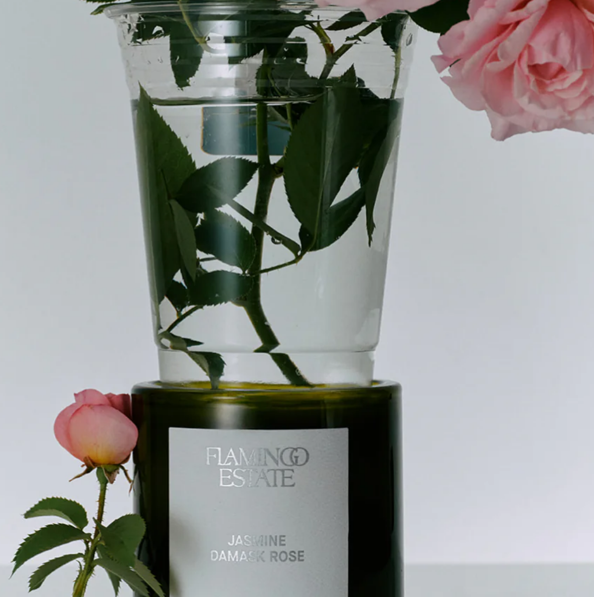 Jasmine  Damask Rose Candle