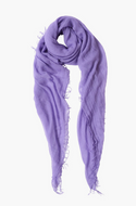 Purple Paisley Cashmere Scarf