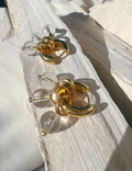 Delphine Hoops