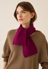 Load image into Gallery viewer, Cadfan Merino Wool Scarf

