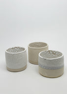Moon Planters